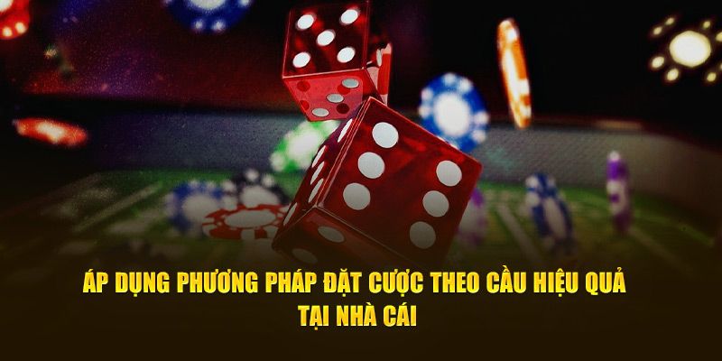 Áp dụng cách chơi xí ngầu đặt cược theo cầu tại nhà cái