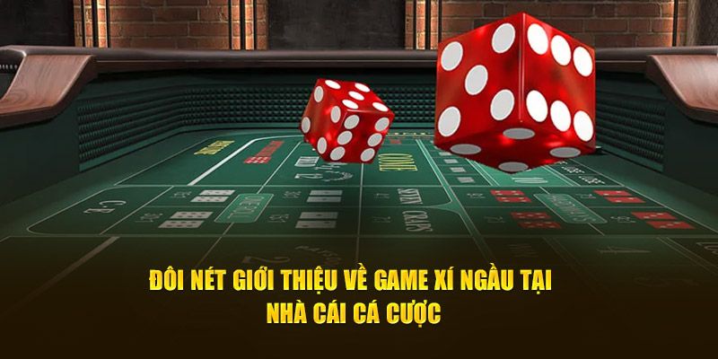 Đôi nét giới thiệu về game xí ngầu tại nhà cái cá cược