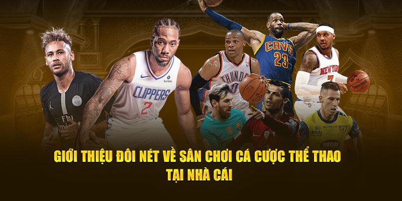 Giới thiệu đôi nét về sân chơi cá cược thể thao tại nhà cái